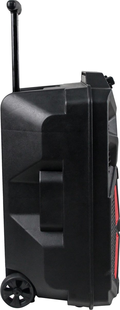 Denver Trolley Speaker - TSP-120 8" - Zwart