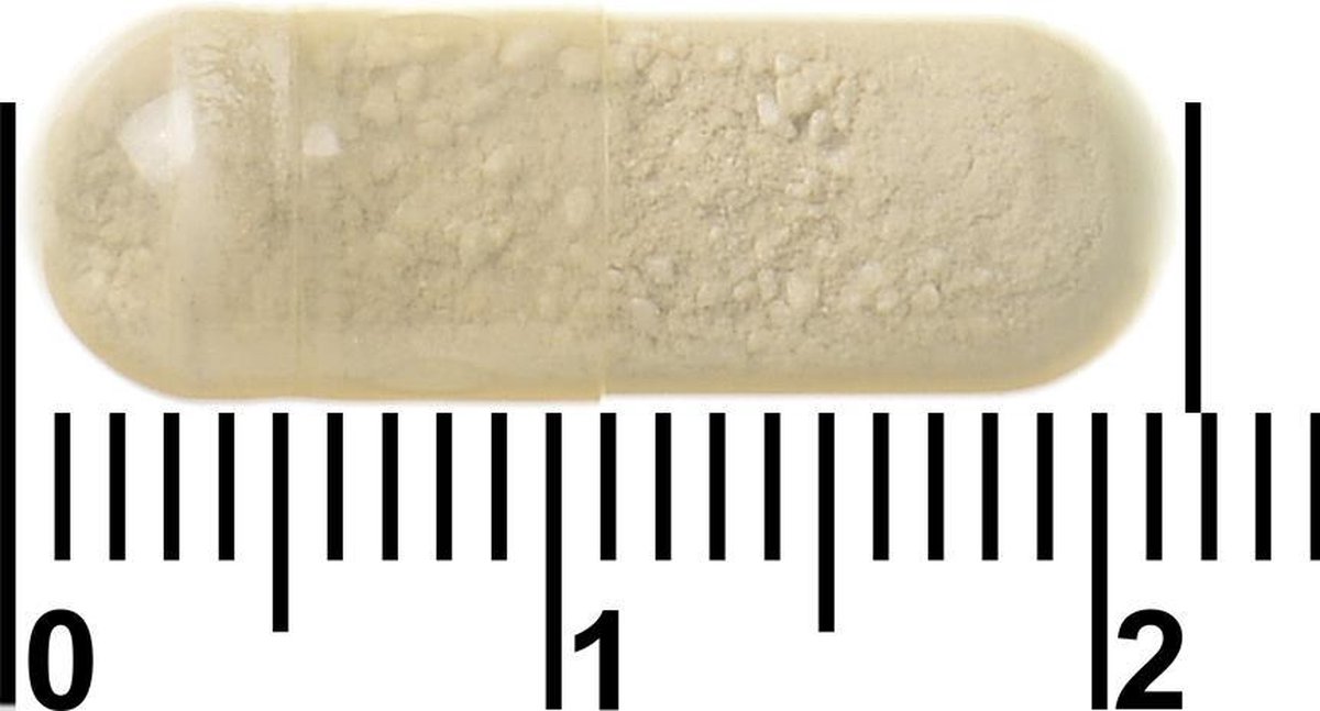 Bional Natuurlijke Zee Magnesium Met Calcium Capsules