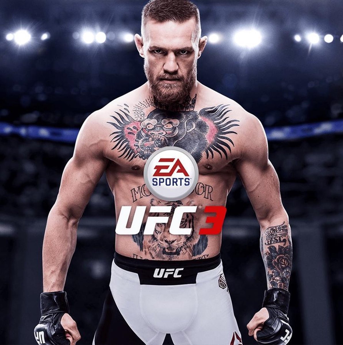 Electronic Arts EA Sports UFC 3