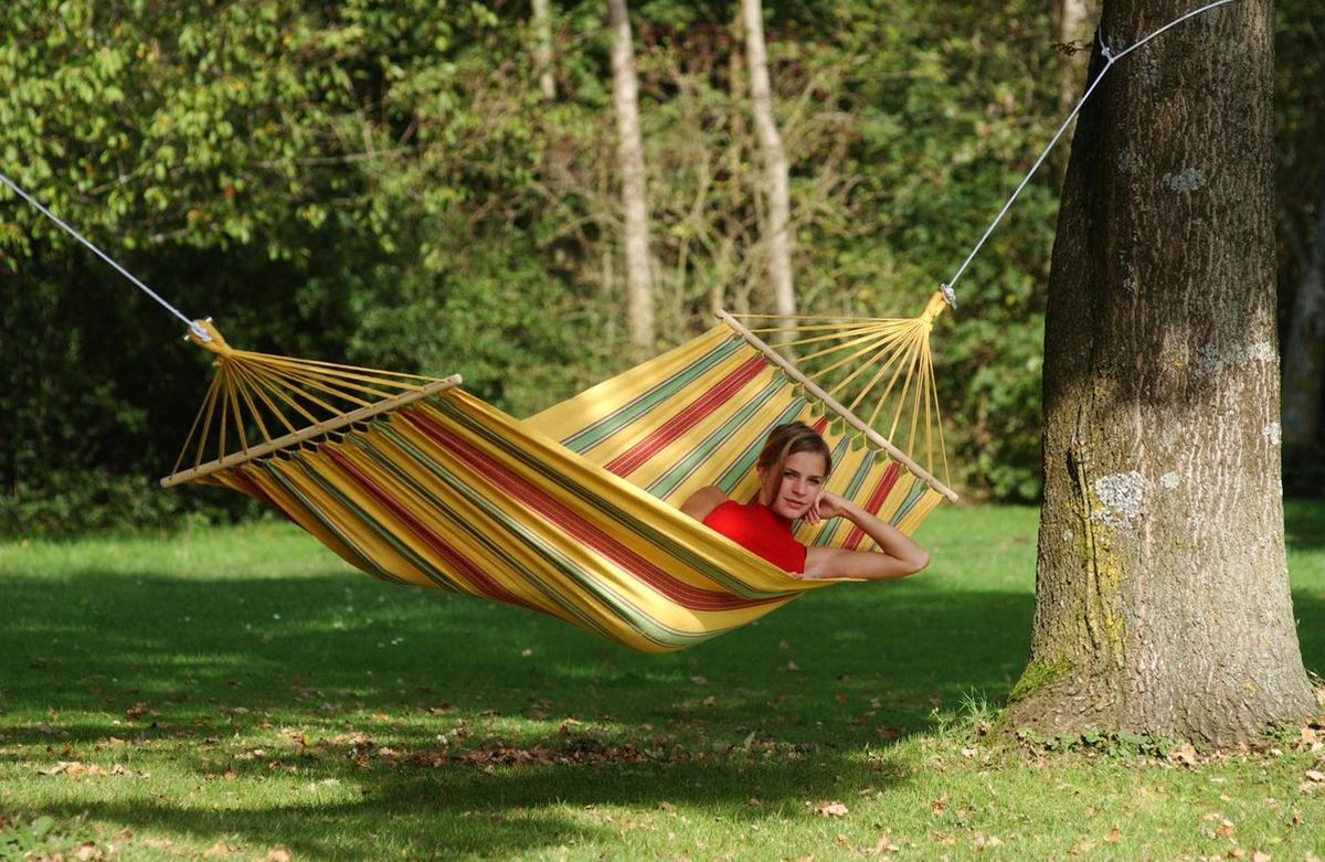 Amazonas Aruba - Geel