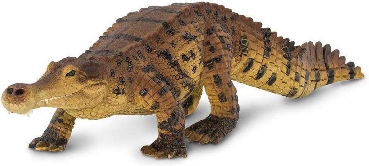 Safari speelfiguur Sarcosuchus junior 26 x 6,5 x 5,5 cm - Bruin