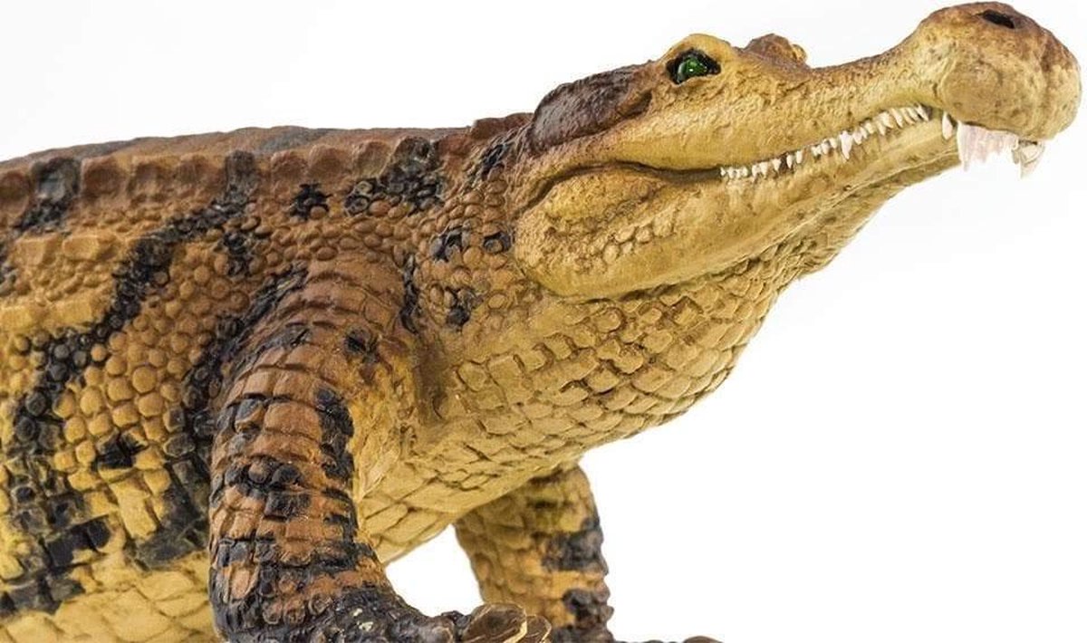 Safari speelfiguur Sarcosuchus junior 26 x 6,5 x 5,5 cm - Bruin