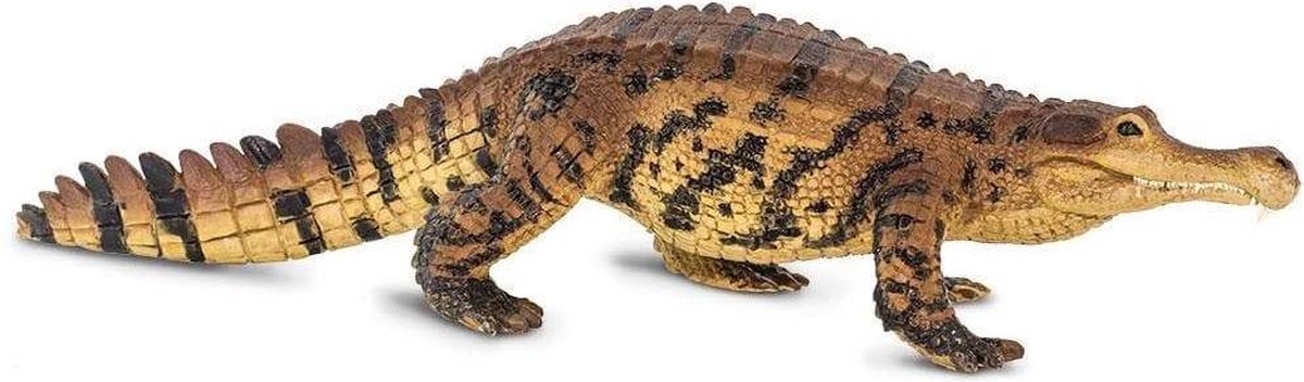 Safari speelfiguur Sarcosuchus junior 26 x 6,5 x 5,5 cm - Bruin