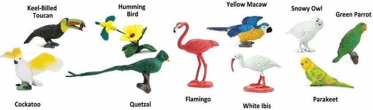 Safari speelset Exotic birds Toob junior 11 delig