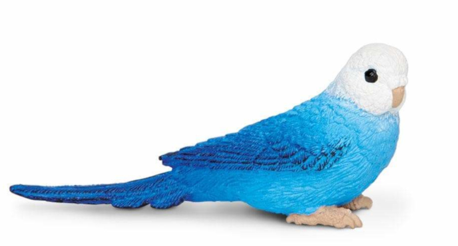 Safari vogele parkiet 7,5 cm wit/ - Blauw