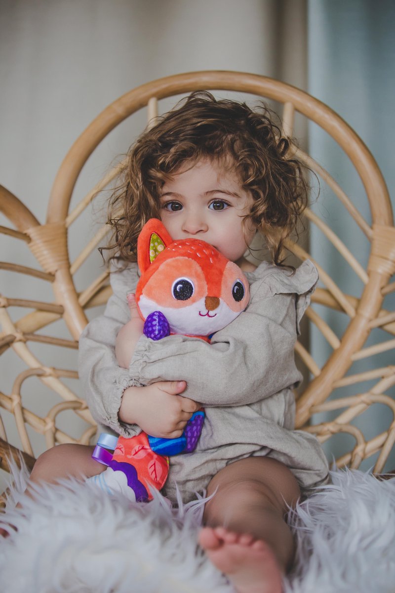 Vtech Bedtijd Vosje 24,1 cm pluche - Oranje