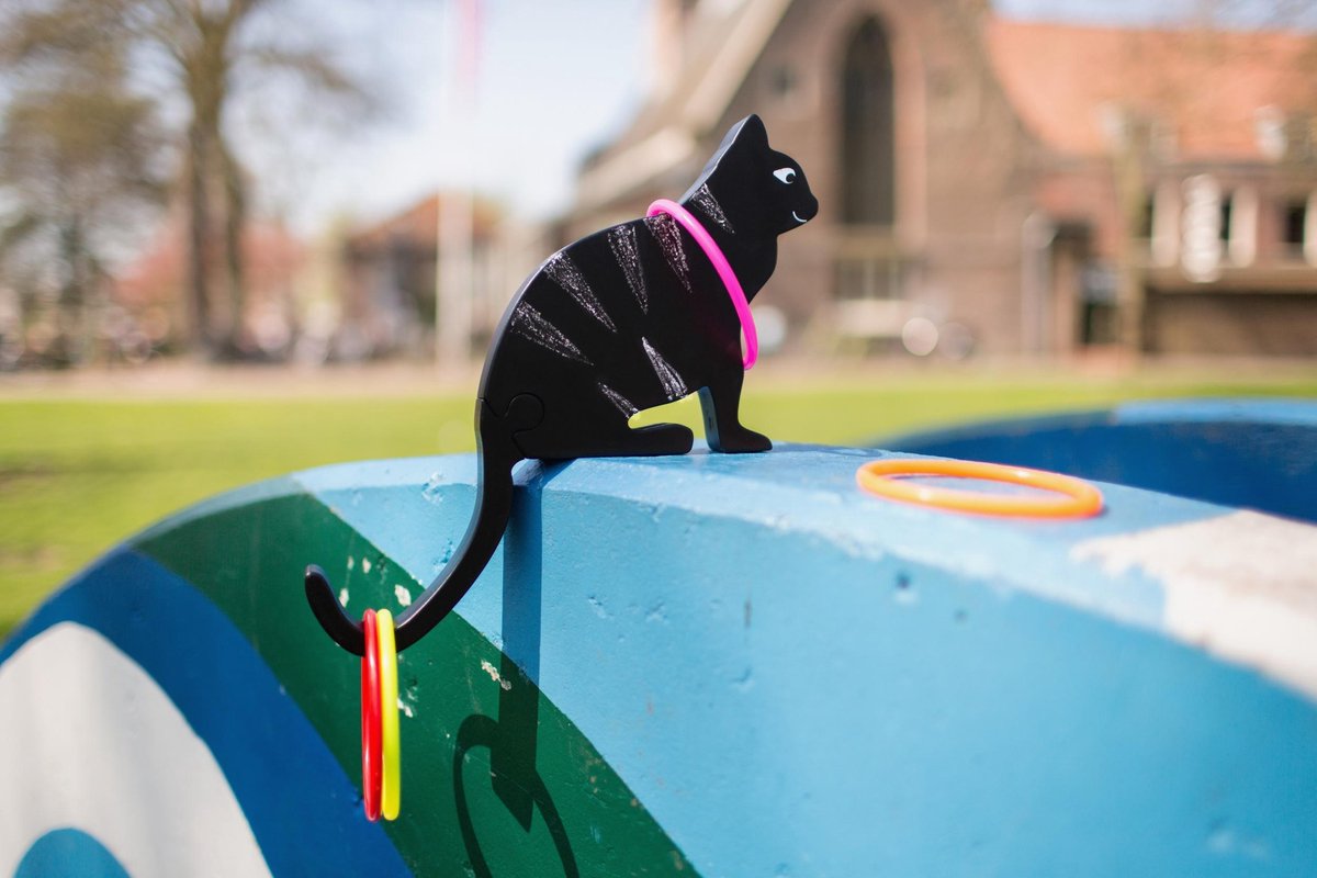 Rodatoys BS Toys ringwerpen Kattenstaart 10 delig - Zwart