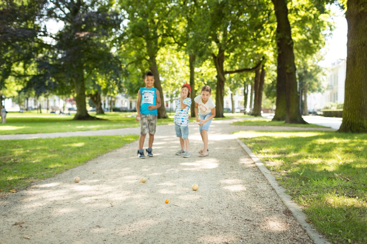 BS Toys Jeu de Boules hout 7 delig