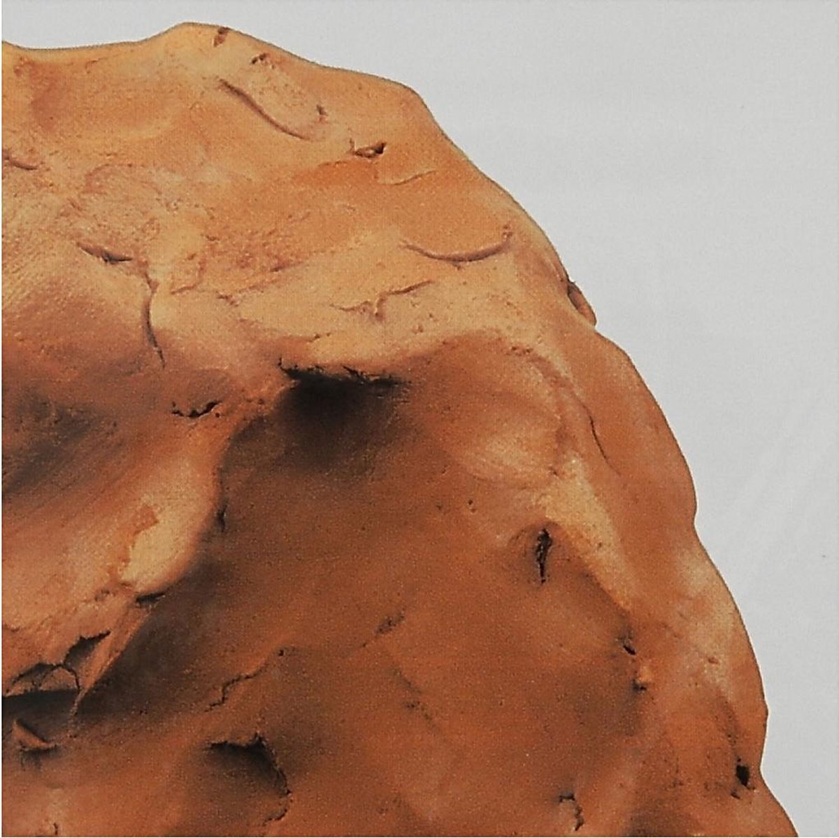 Creotime zelfhardende klei 1000 gram - Bruin