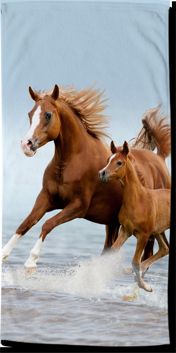 Good Morning strandlaken Free junior 75 x 150 cm velours blauw - Roze