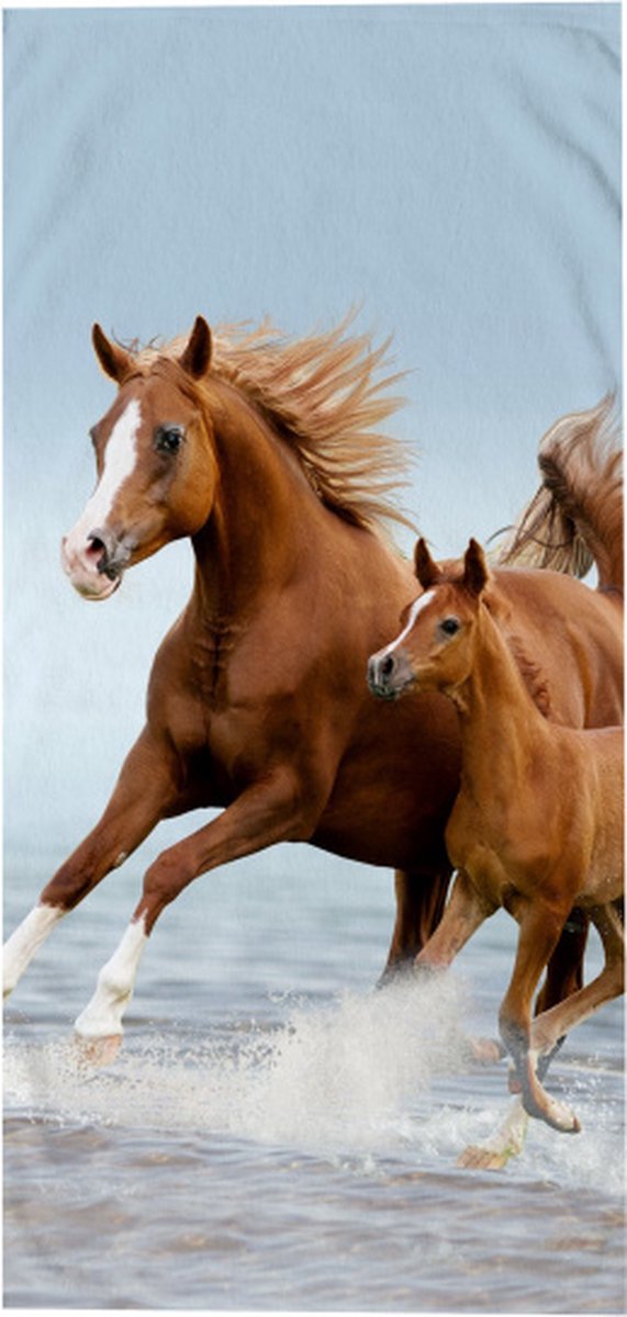 Good Morning strandlaken Free junior 75 x 150 cm velours blauw - Roze