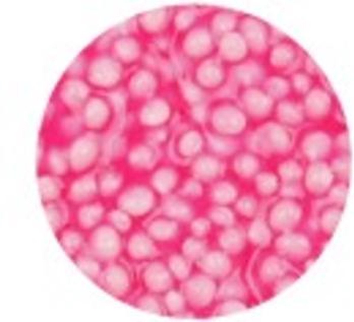 Foam Clay 560 gram - Roze