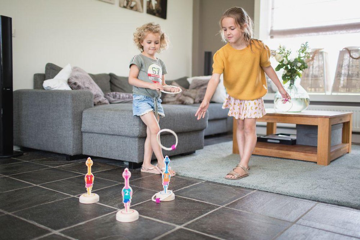 BS Toys ringwerpen Vogels 22 x 5 cm hout 6 delig