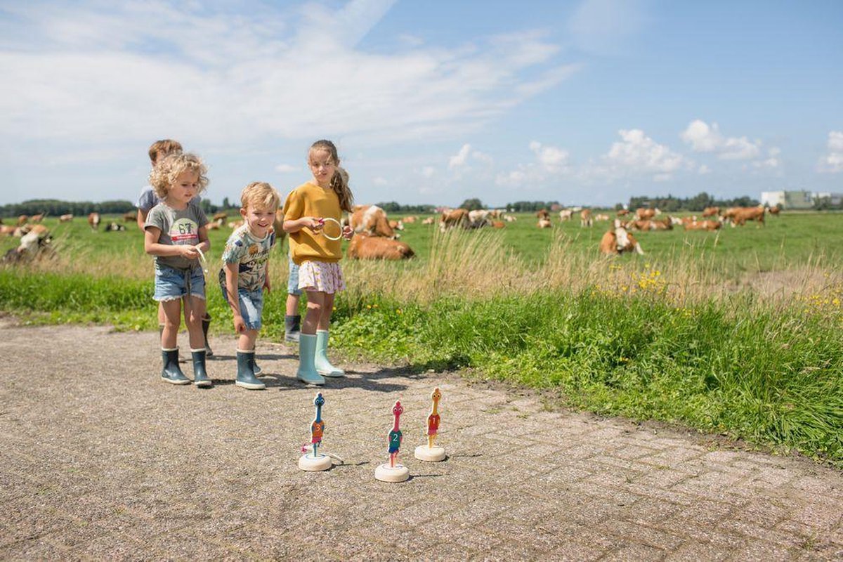 BS Toys ringwerpen Vogels 22 x 5 cm hout 6 delig