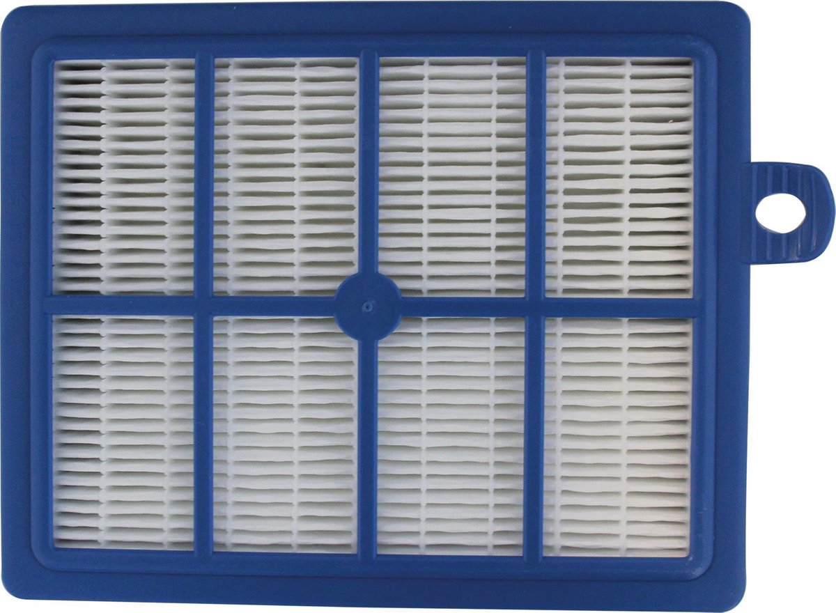 Electrolux Filtro Aspirador EFS1W