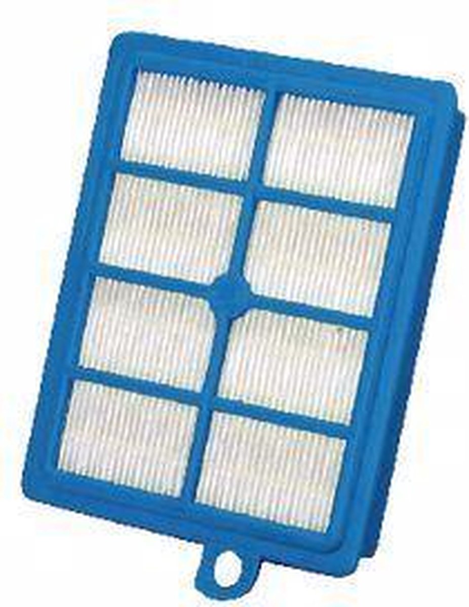 Electrolux Filtro Aspirador EFS1W