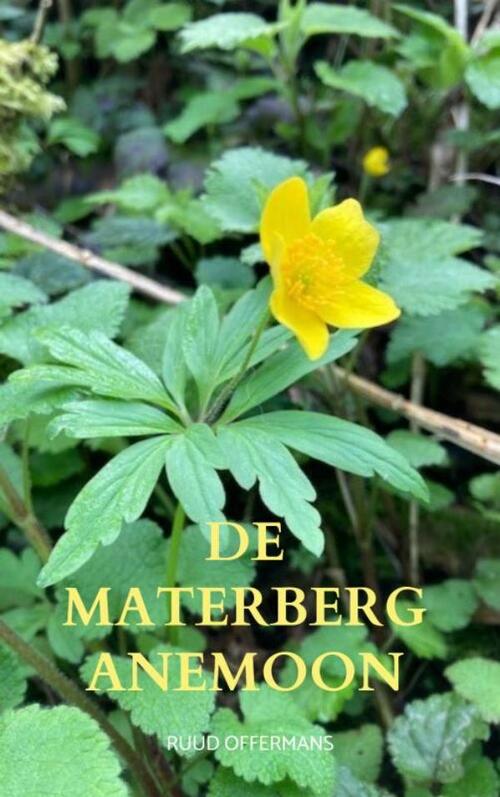 Boeken Uit Limburg De Materberg anemoon