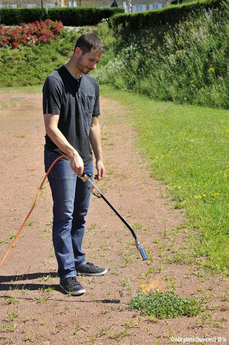 Hozelock Thermal Weeder (zonder gasbus)