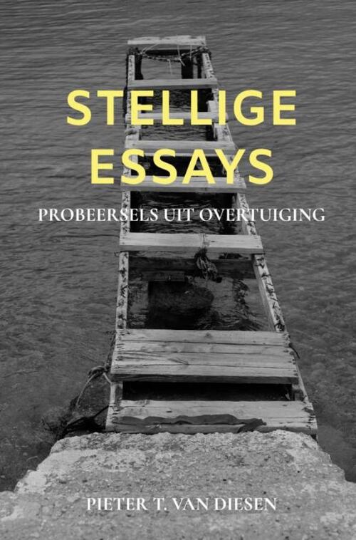 Stellige essays