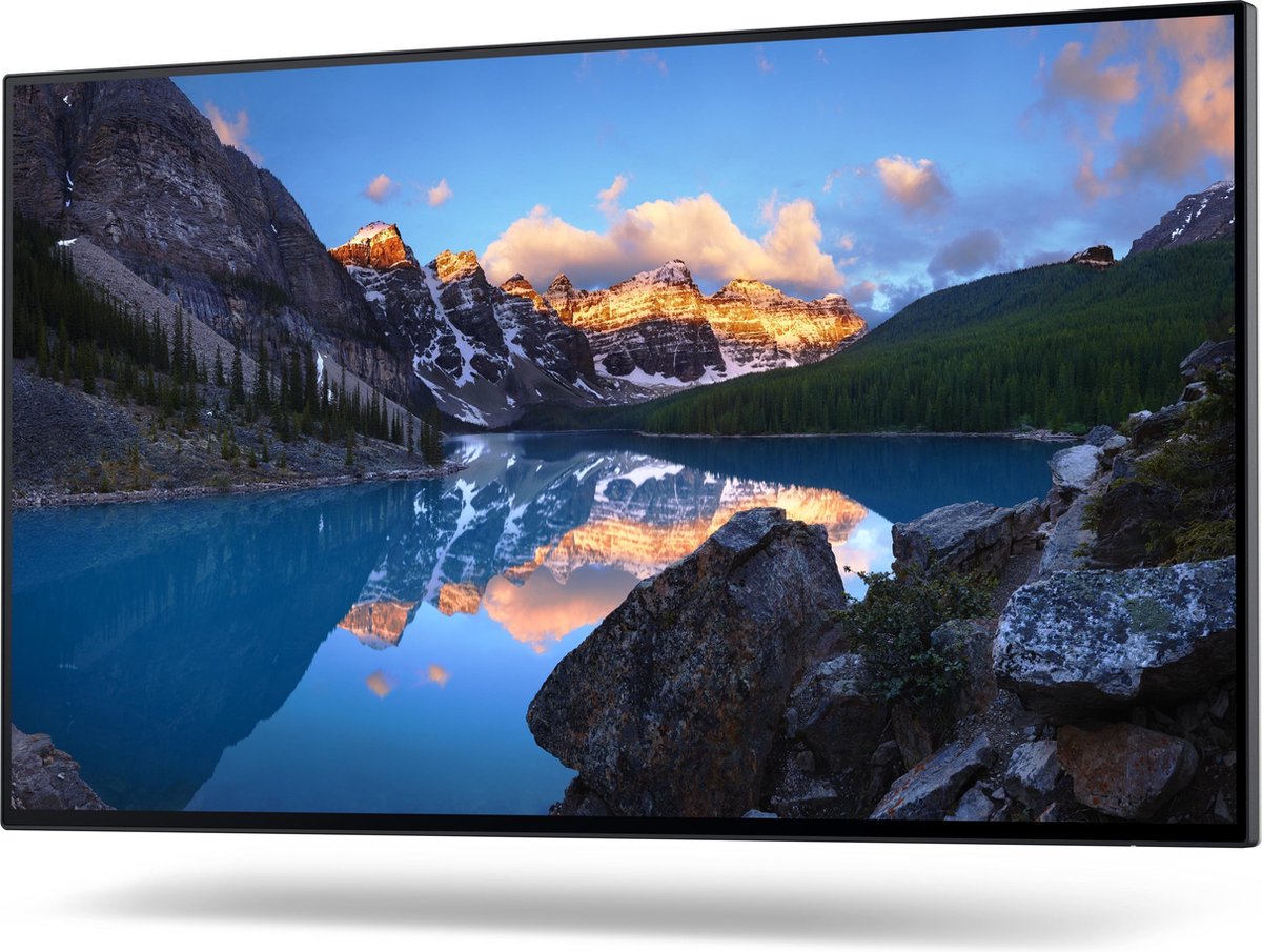 Dell UltraSharp U2422H - 23,8"