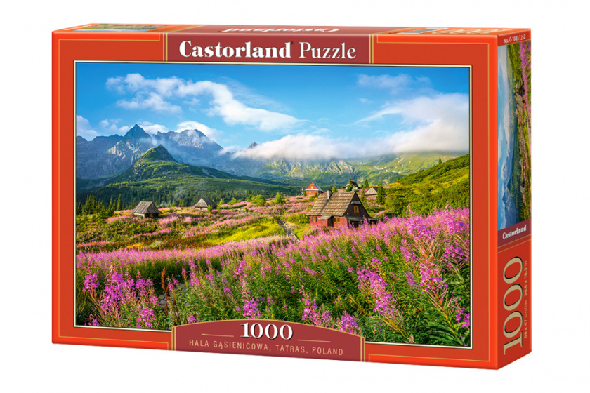 Castorland legpuzzel Polen 1000 stukjes