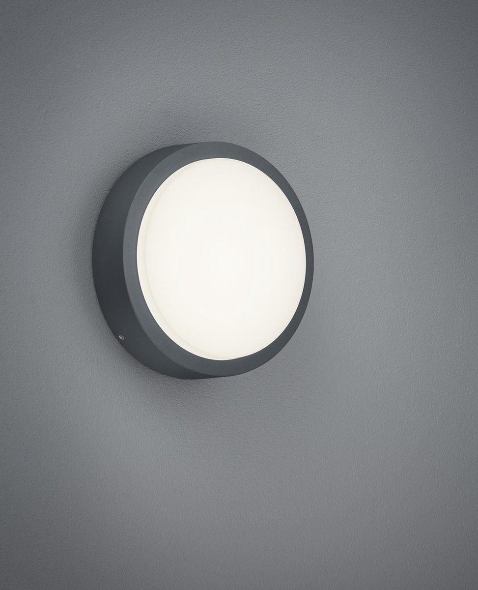 TRIO Breg Plafondlamp - Gris