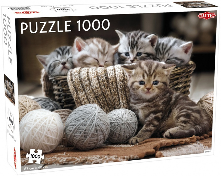 Tactic legpuzzel Cute Kittens 1000 stukken 48 x 68 cm karton