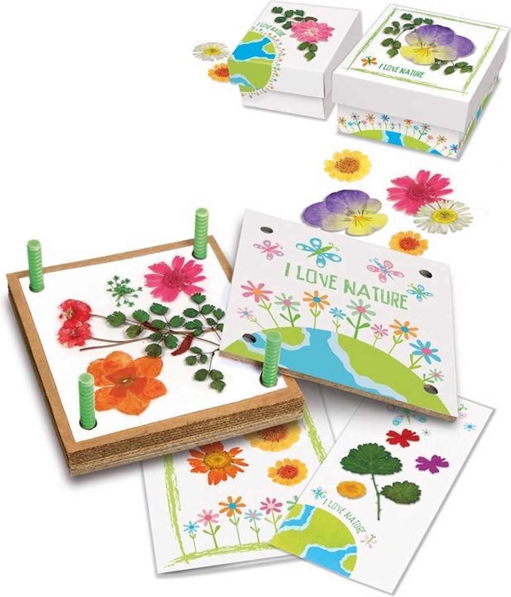 4M Green Activity: Bloemenpers - Groen