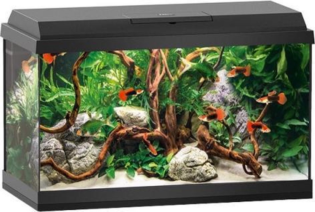 Juwel Aquarium Primo 70 61x31x44 cm - Aquaria - Ca. 70 L - Zwart