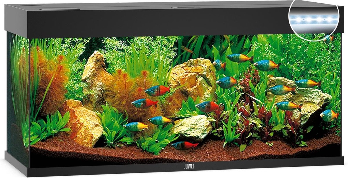 Juwel Aquarium Rio 240 Led 121x41x50 cm - Aquaria - Ca. 240 L - Zwart