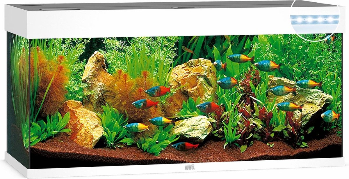 Juwel Aquarium Rio 240 Led 121x41x50 cm - Aquaria - Ca. 240 L - Wit