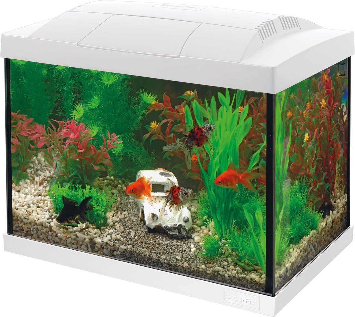Superfish Aquarium Start 20 Goldfish Kit Led 20 l - Aquaria - - Wit