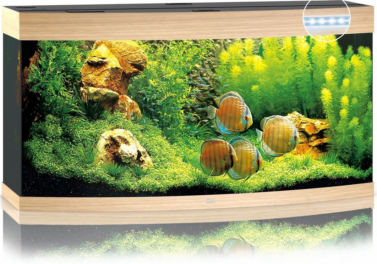 Juwel Aquarium Vision 260 Led 121x46x64 cm - Aquaria - Licht Hout