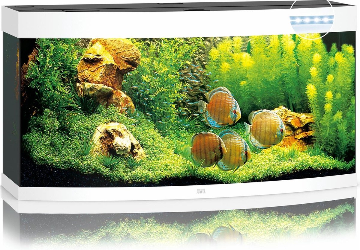 Juwel Aquarium Vision 260 Led 121x46x64 cm - Aquaria - Ca. 260 L - Wit