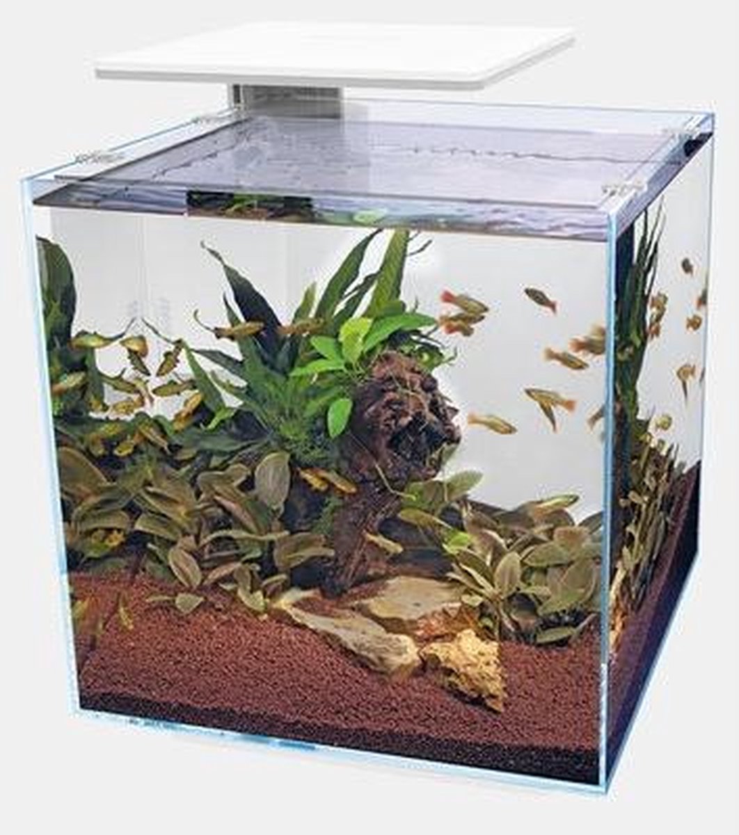 Superfish Qubiq 60 Pro 40x40x50.8 cm - Aquaria - - Wit