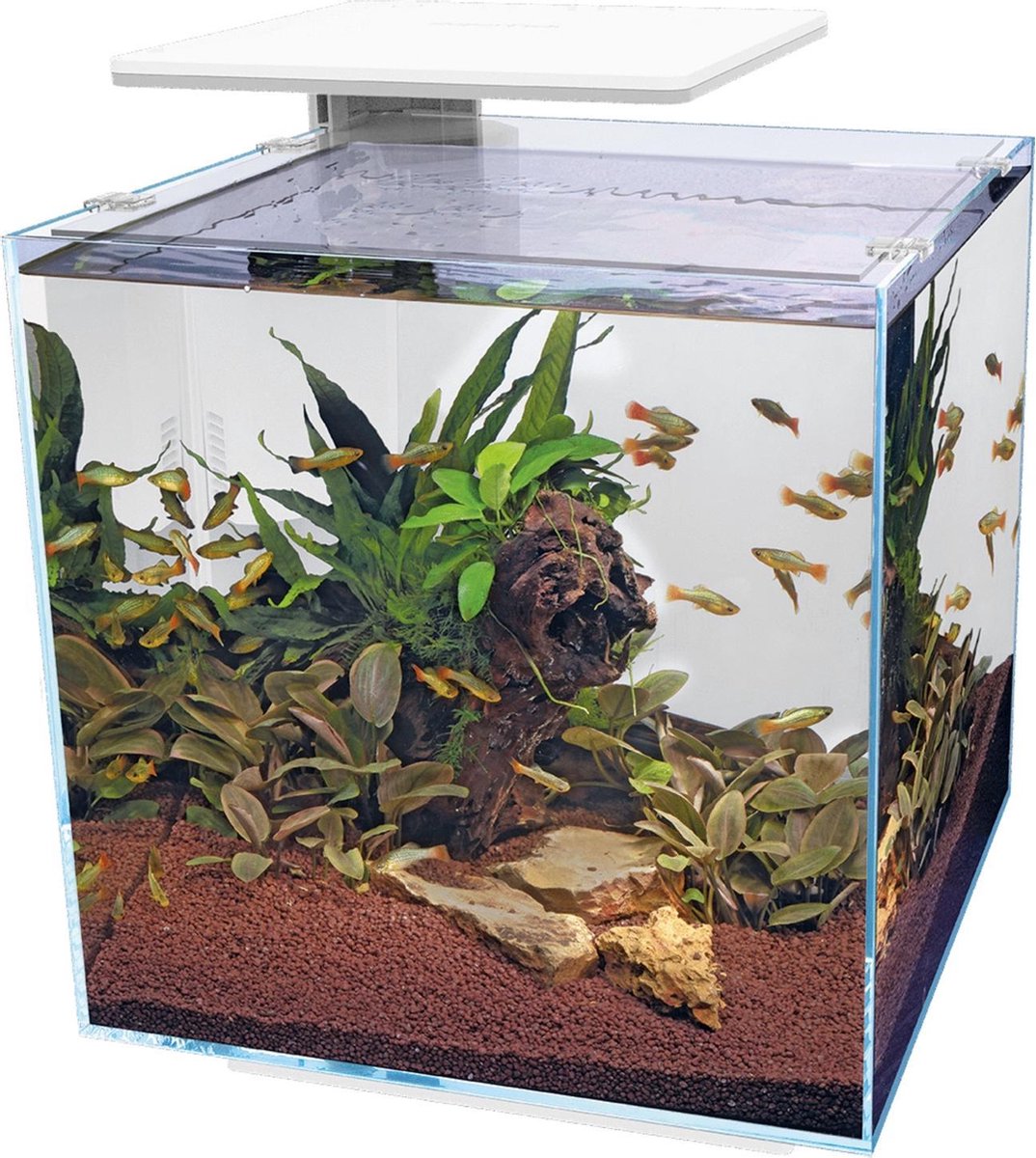 Superfish Qubiq 60 Pro 40x40x50.8 cm - Aquaria - - Wit