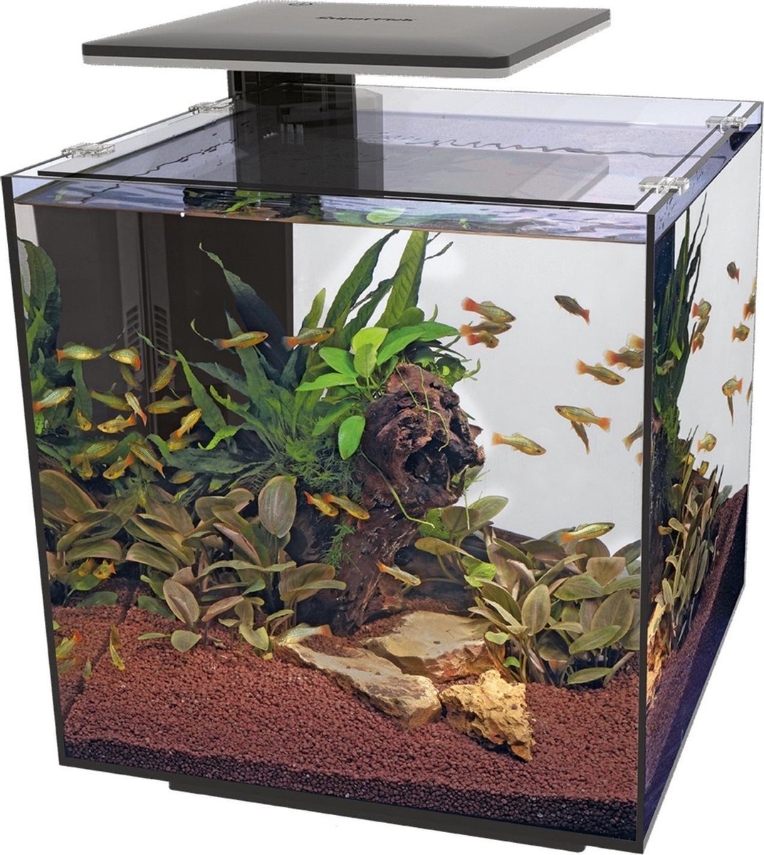 Superfish Qubiq 60 Pro 40x40x50.8 cm - Aquaria - - Zwart