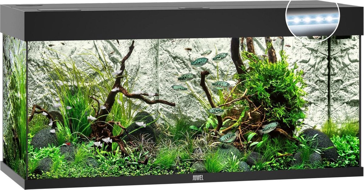 Juwel Aquarium Rio 180 Led 101x41x50 cm - Aquaria - Ca. 180 L - Zwart