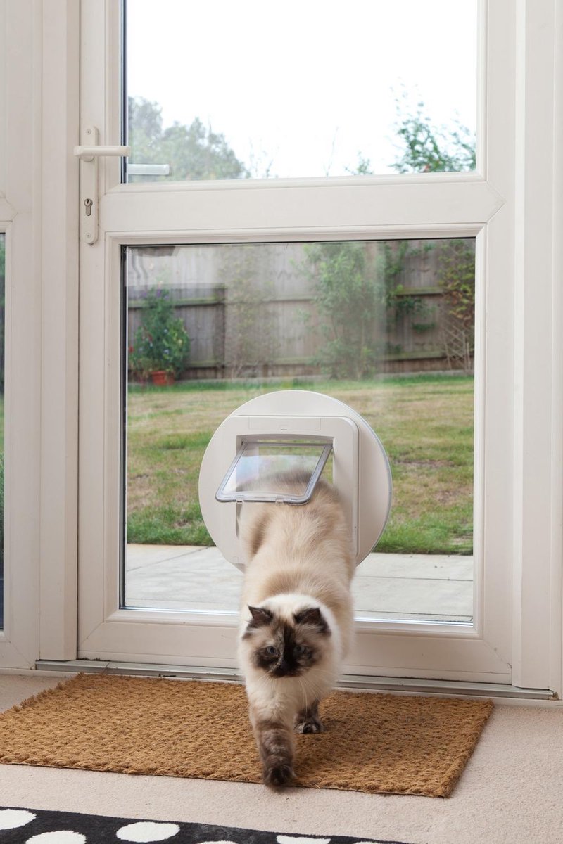 SureFlap Dierenluik Adapter S - Kattenluik - 28x0.8 cm - Wit