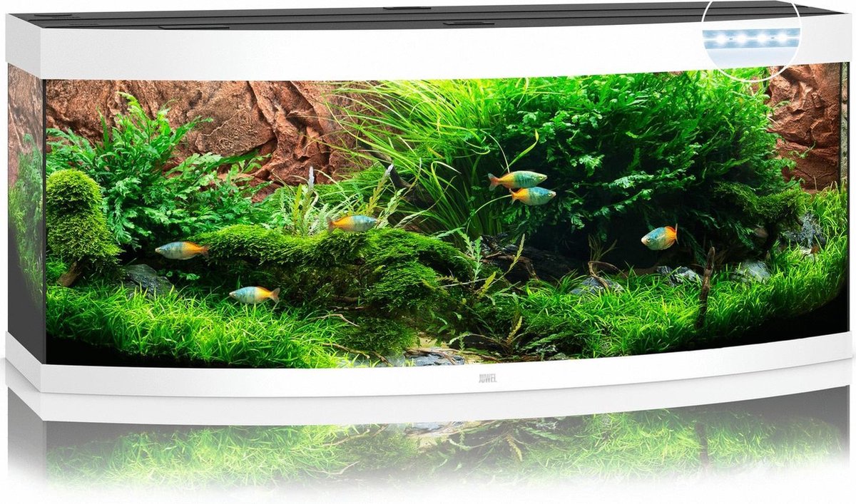 Juwel Aquarium Vision 450 Led 151x61x64 cm - Aquaria - - Wit