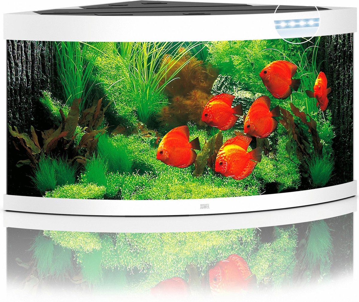 Juwel Aquarium Trigon 350 Led 87x87x65 cm - Aquaria - - Wit