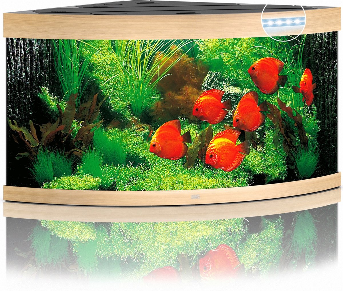 Juwel Aquarium Trigon 350 Led 87x87x65 cm - Aquaria - Licht Hout