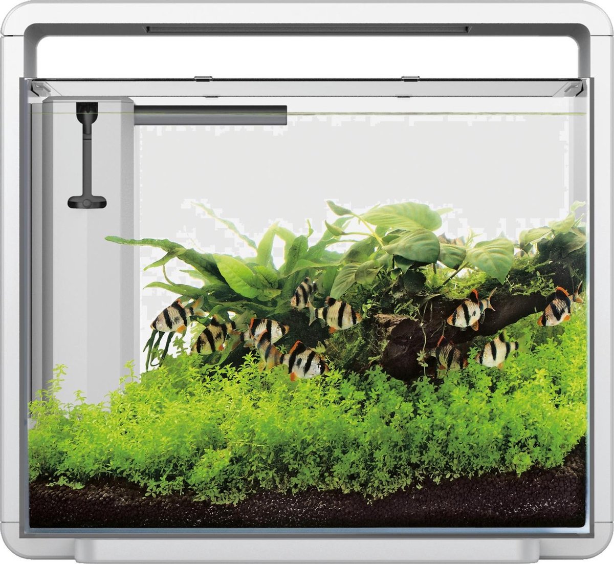 Superfish Home 45 Aquarium 46.5x25x42.5 cm - Aquaria - - Wit