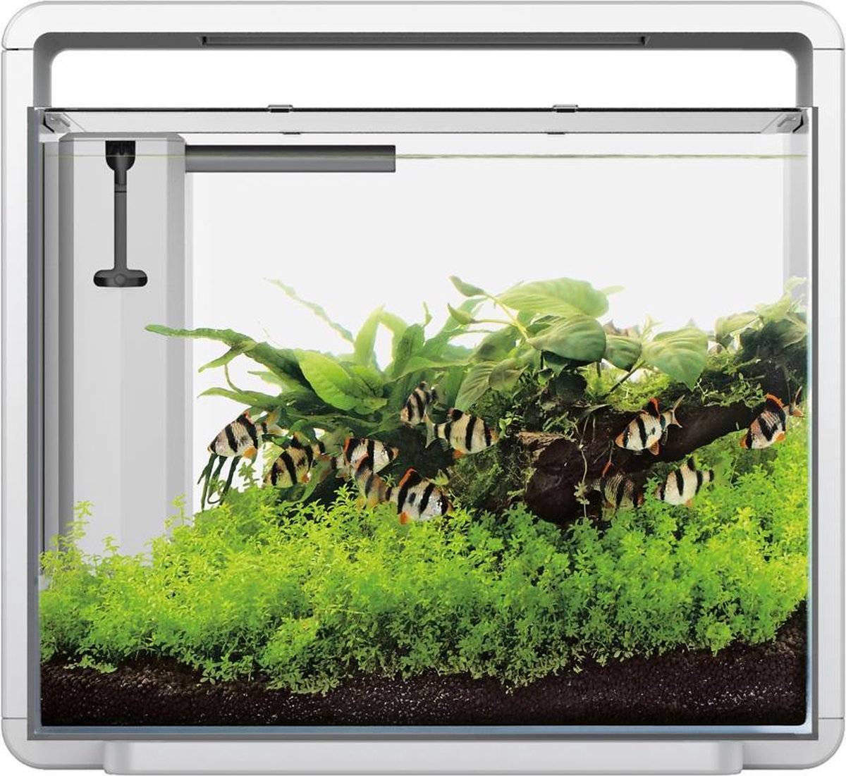 Superfish Home 45 Aquarium 46.5x25x42.5 cm - Aquaria - - Wit