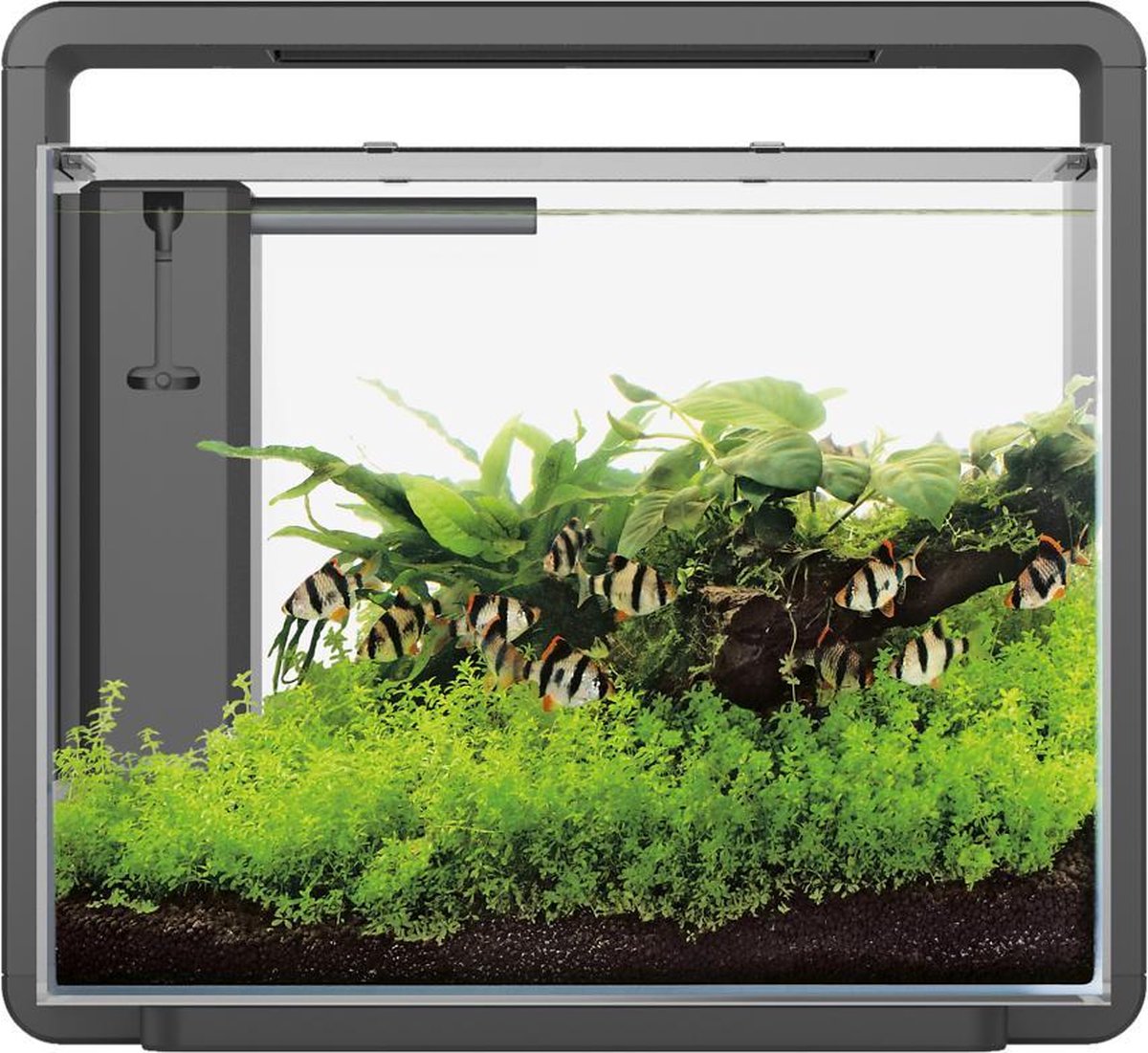 Superfish Home 45 Aquarium 46.5x25x42.5 cm - Aquaria - - Zwart