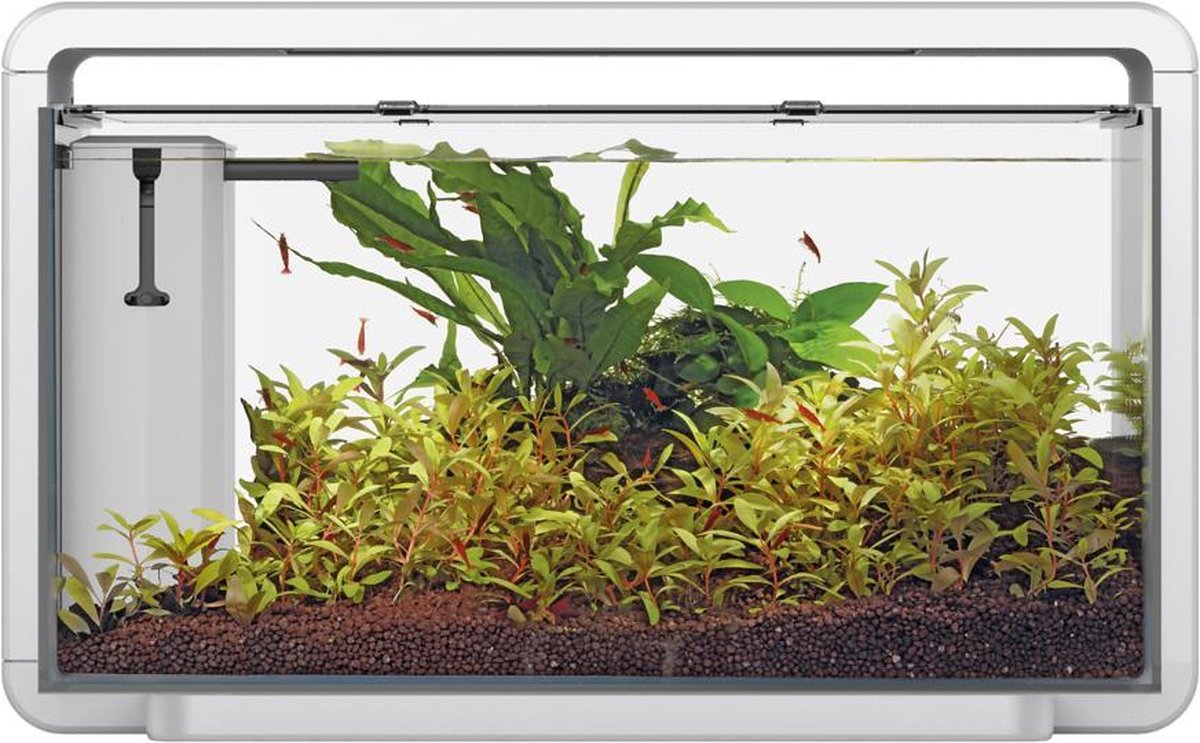 Superfish Home 30 Aquarium 46.5x25x28.5 cm - Aquaria - - Wit