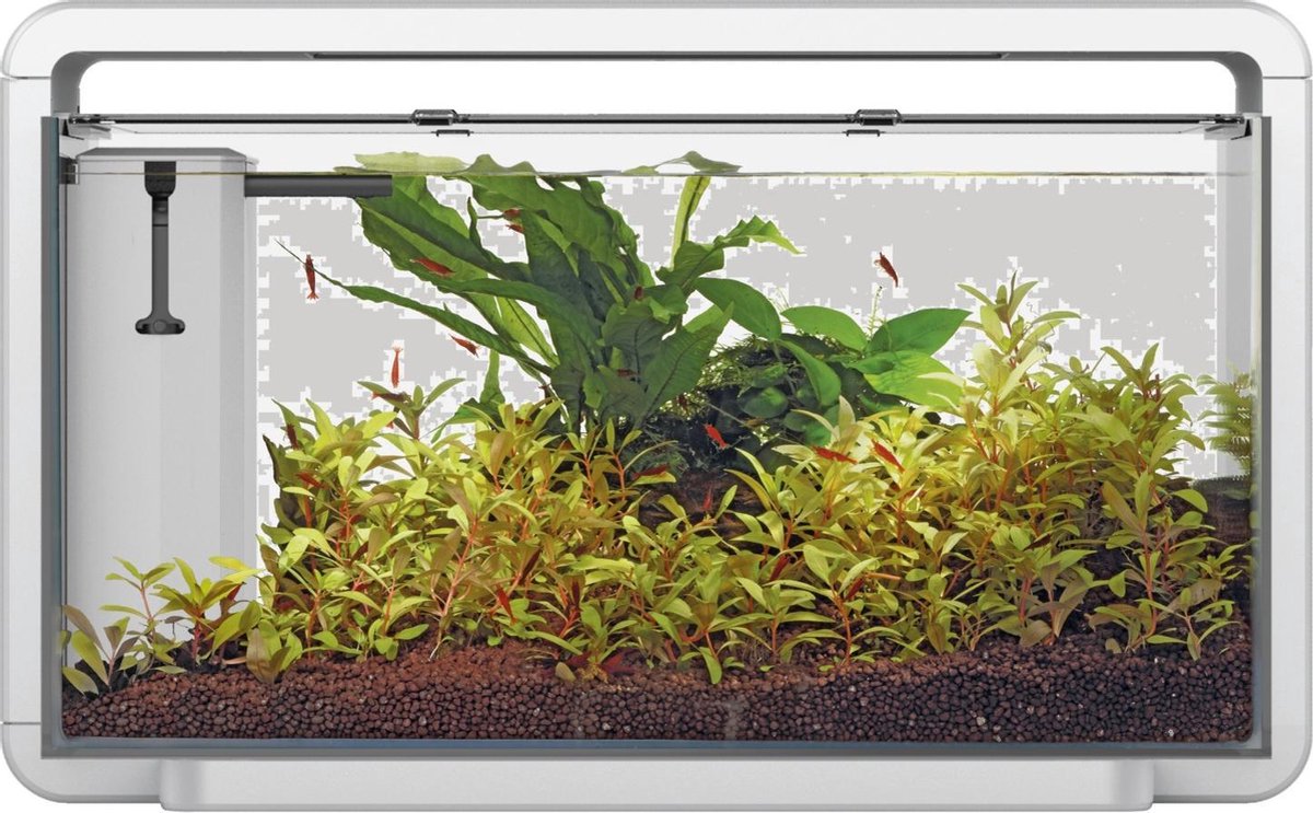 Superfish Home 30 Aquarium 46.5x25x28.5 cm - Aquaria - - Wit