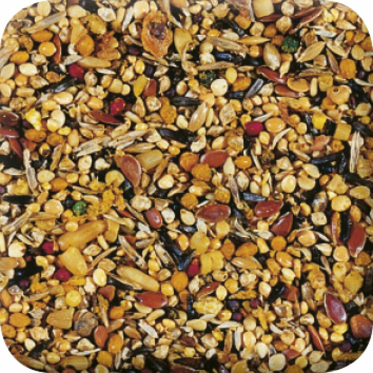 Xtra Vital Tropisch - Vogelvoer - 500 g