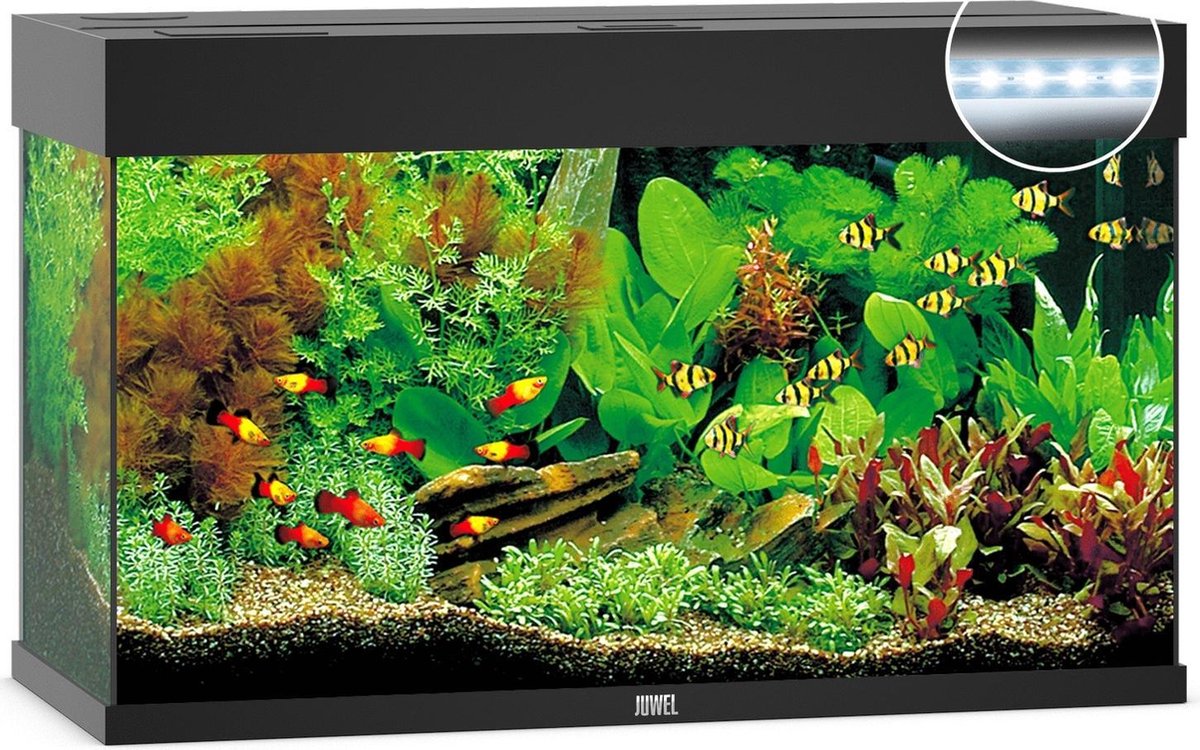 Juwel Aquarium Rio 125 Led 80x35x50 cm - Aquaria - Ca. 125 L - Zwart