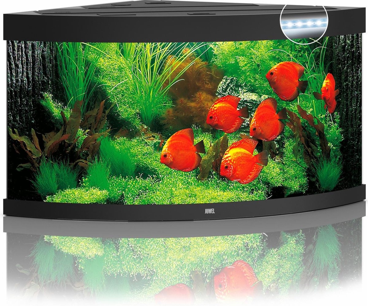 Juwel Aquarium Trigon 350 Led 87x87x65 cm - Aquaria - Ca. 350 L - Zwart